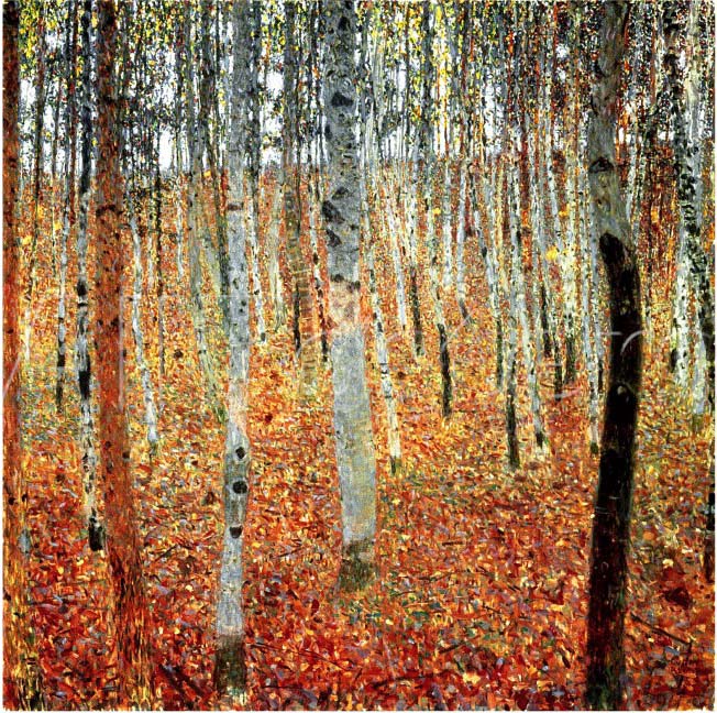 Forest of Beech Trees, c.1903 by Gustav Klimt